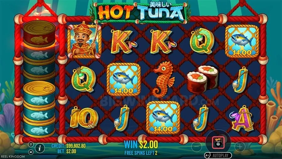 melbet Gambling Glossary of Terms